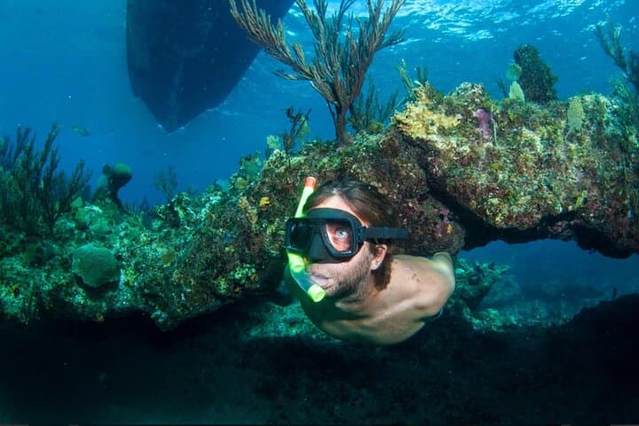Emerald Reef Snorkel, La Famille Express Shipwreck & Iguana Island — 3‑Hour Providenciales Tour
