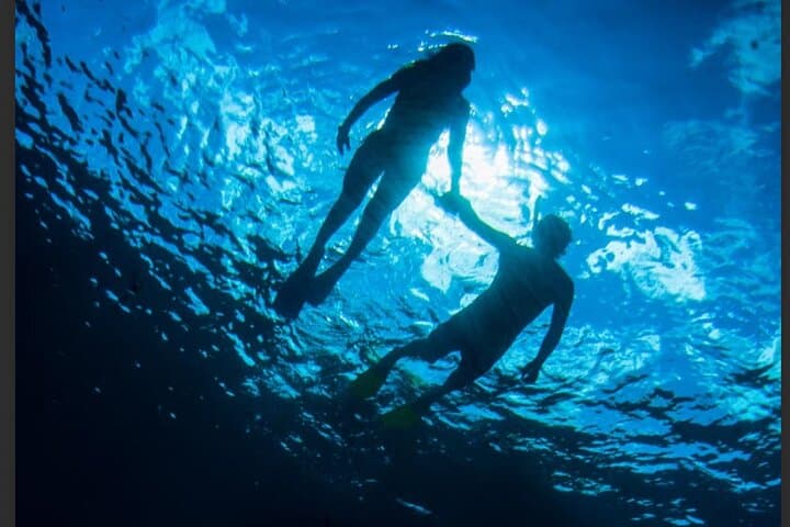 Emerald Reef Snorkel, La Famille Express Shipwreck & Iguana Island — 3‑Hour Providenciales Tour photo 3