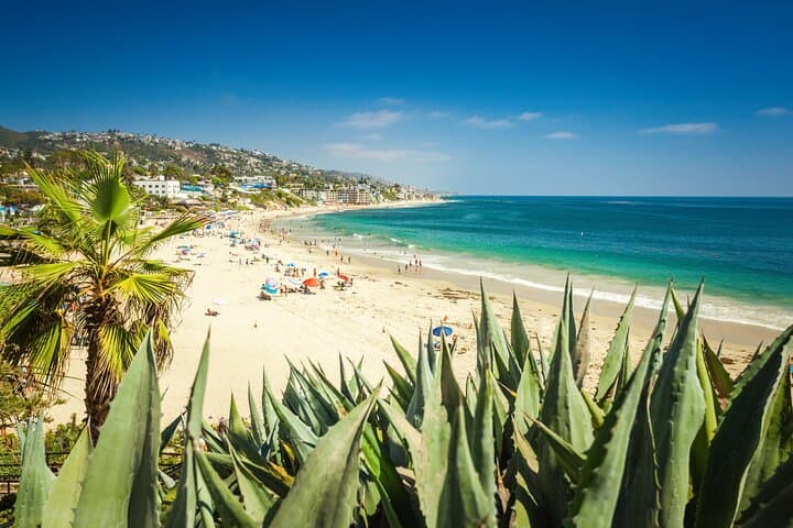 Laguna Beach Private Family Walking Tour — Sun, Art & Tide Pools photo 6
