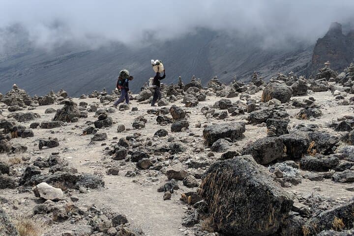 7-Day Kilimanjaro Climb via Machame Route — Itinerary, Tips & What to Expect photo 3