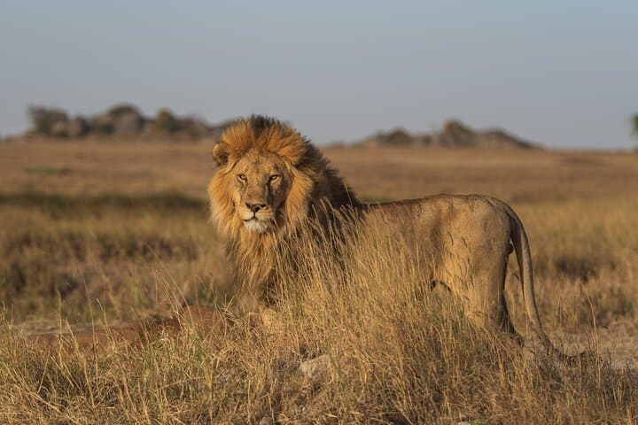 Overnight Safari to Severin Camp — 2-Day Tsavo West Safari from Mombasa photo 3
