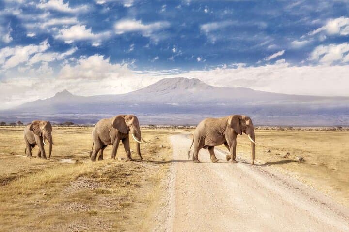 Overnight Safari to Severin Camp — 2-Day Tsavo West Safari from Mombasa photo 4