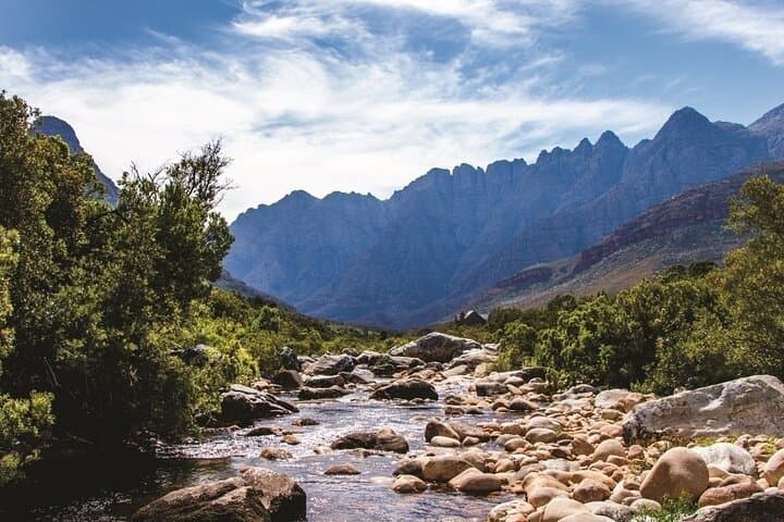 Big Five Safari and Breede River Valley Day Trip from Cape Town photo 6