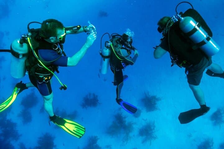 Beginner Scuba Diving in Kusadası: Shore Dive with Equipment & Lunch photo 6