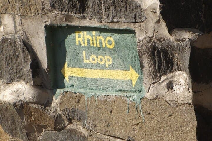 Rhino Walk Near Livingstone — Up-Close White Rhino Experience photo 4