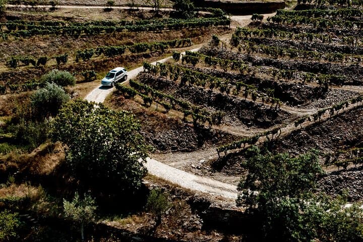 Full-Day Douro 4x4 Adventure: Private Winery Visit, Off-Road Trails & River Cruise photo 6