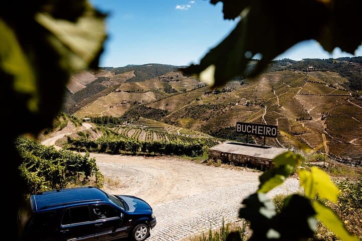 Full-Day Douro 4x4 Adventure: Private Winery Visit, Off-Road Trails & River Cruise photo 2