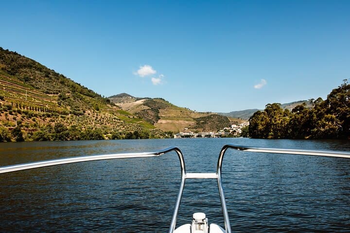 Private Douro River Cruise from Pinhão — 1-Hour Scenic Boat Tour