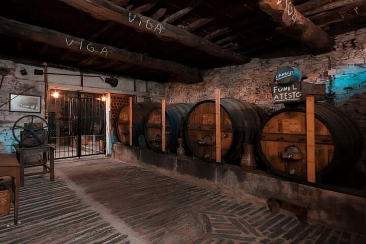 Full-Day Douro 4x4 Adventure: Private Winery Visit, Off-Road Trails & River Cruise photo 3