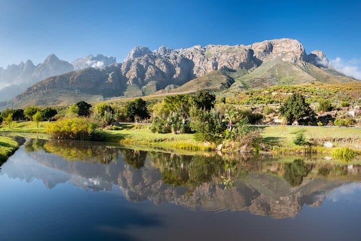 Big Five Safari and Breede River Valley Day Trip from Cape Town photo 3