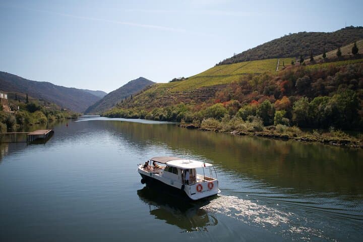 Private Douro River Cruise from Pinhão — 1-Hour Scenic Boat Tour photo 6