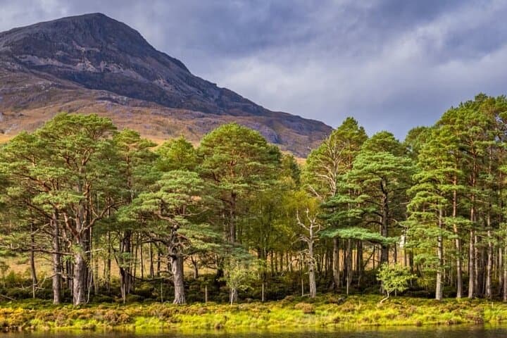 Meandering Through the Scottish Highlands: Lochs, Distilleries & Coastal Back Roads photo 6