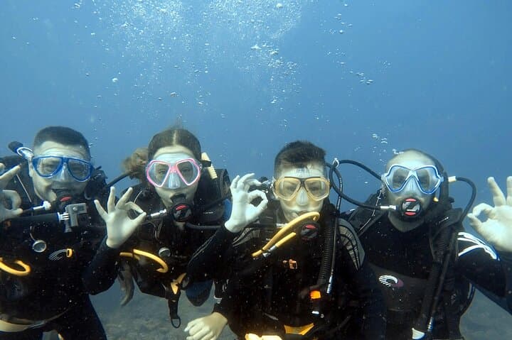 Antalya Scuba Diving: 2-Dive Boat Trip with Lunch and Pickup photo 6