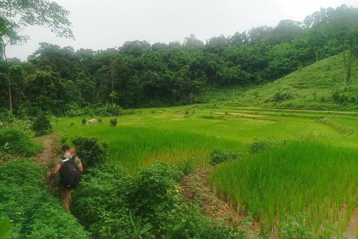 Full-Day Trekking and Bamboo Cooking Tour near Chiang Rai photo 4