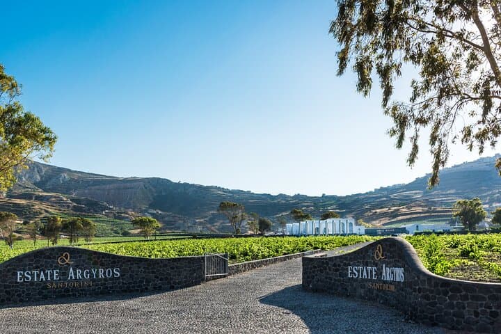 Santorini Private Wine Adventure: Tastings at Santo, Koutsoyannopoulos & Argyros photo 2