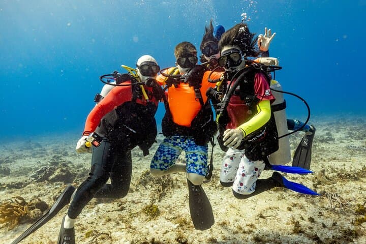 Discover Diving in the Reefs of Cozumel: Your Guide to an Unforgettable Underwater Adventure photo 4