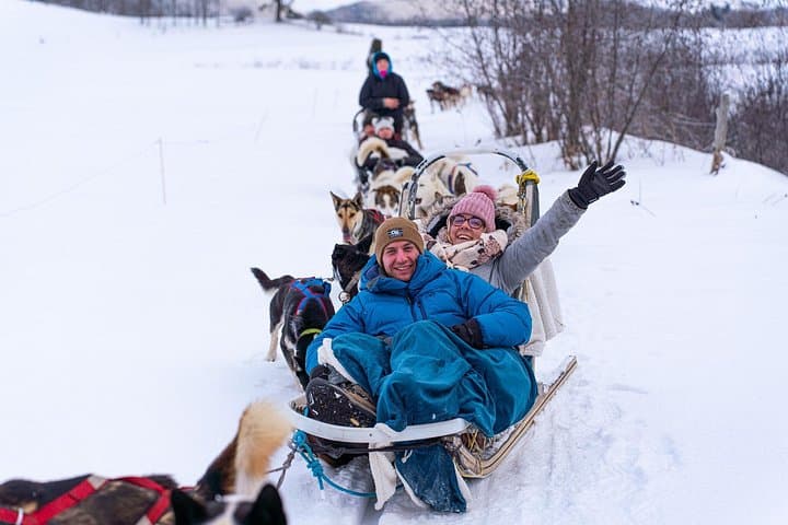 Ultimate Dog Sledding Day Trip from Ottawa & Gatineau to Petite‑Nation Waterfall photo 2