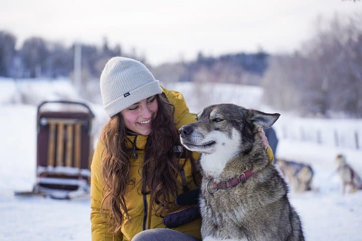 Ultimate Dog Sledding Day Trip from Ottawa & Gatineau to Petite‑Nation Waterfall photo 4