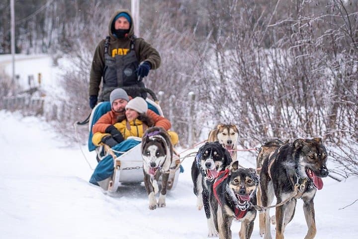Ultimate Dog Sledding Day Trip from Ottawa & Gatineau to Petite‑Nation Waterfall