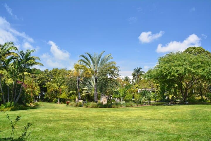 Private 2-Hour Family Walking Tour of Miami Beach: Botanical Garden to Lummus Park photo 2