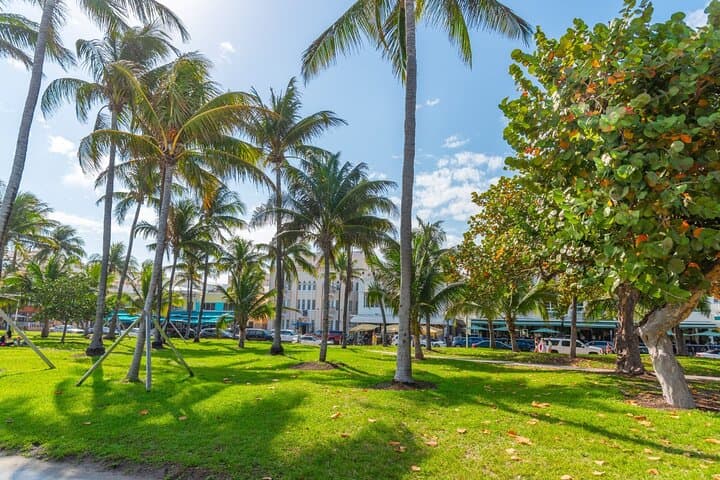 Private 2-Hour Family Walking Tour of Miami Beach: Botanical Garden to Lummus Park photo 3