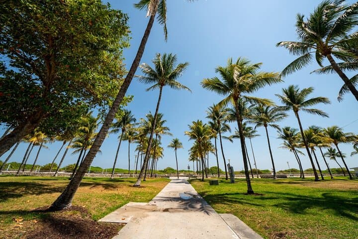 Private 2-Hour Family Walking Tour of Miami Beach: Botanical Garden to Lummus Park photo 5