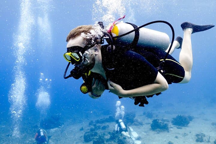 Afternoon Reefs: Certified Diving Experience on Cozumel’s Barrier photo 6