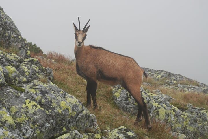 High Tatras Private Hiking Tour with Licensed Mountain Guide photo 4