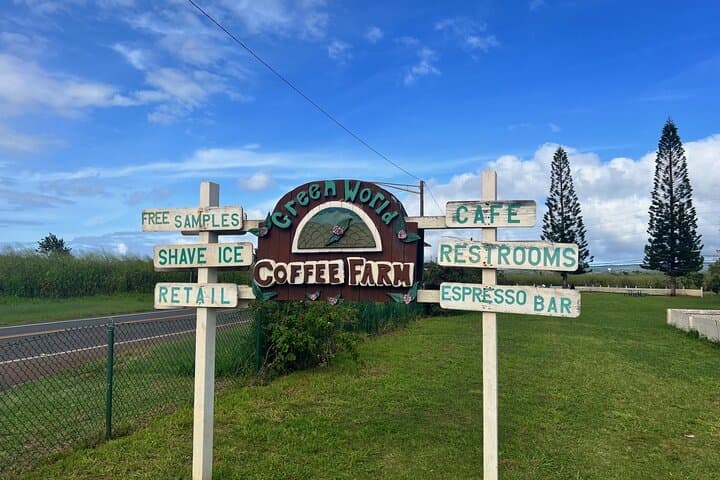 North Shore Dole Pineapple Farm Tour — Taste Oahu's Pineapple History photo 2