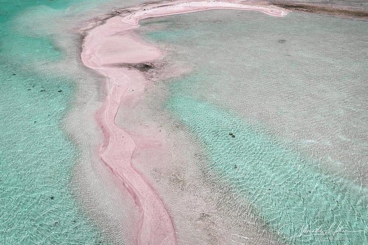 Blue Lagoon Private Island: Pink Sand Beach & Wildlife Reserve Tour, Rangiroa photo 3