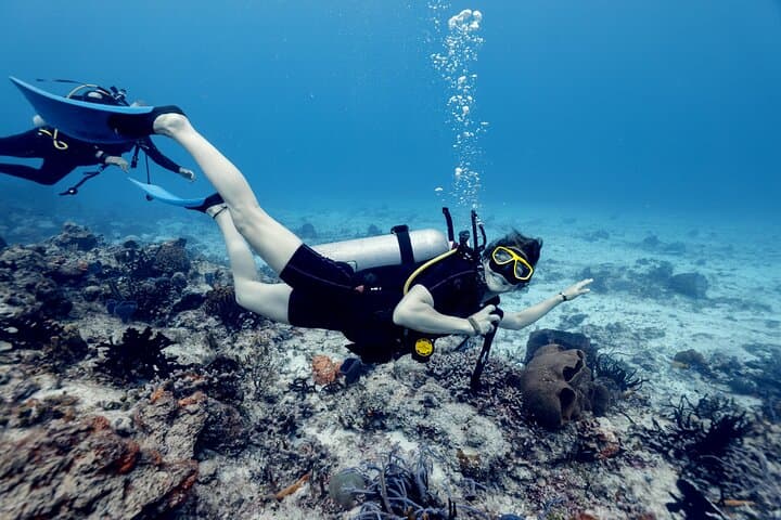 Cozumel Two-Tank Certified Dive: Best Reefs, Practical Tips & What to Expect