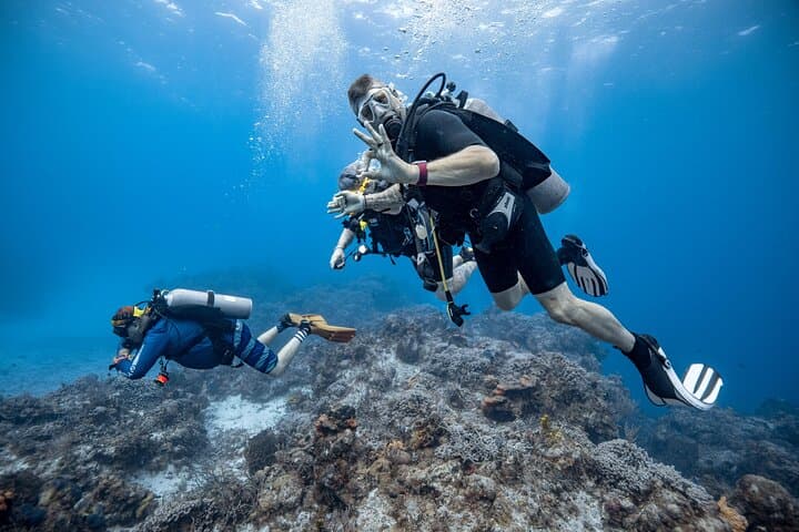 Cozumel Two-Tank Certified Dive: Best Reefs, Practical Tips & What to Expect photo 5