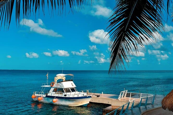 Cozumel Two-Tank Certified Dive: Best Reefs, Practical Tips & What to Expect photo 6