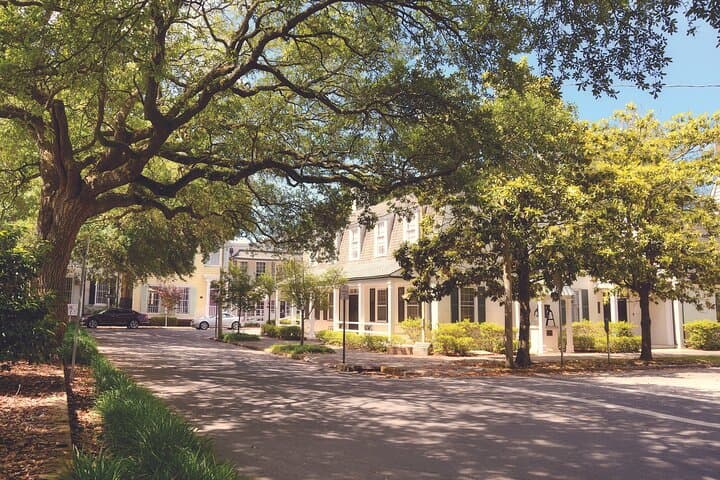 Private Savannah Walking Tour — Enchanted Stroll Through Historic Squares photo 2