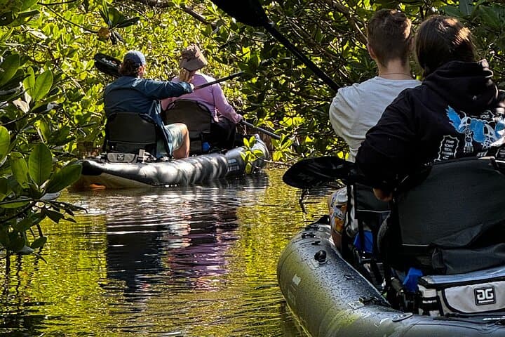 Paddle Through Prehistoric Mangrove Tunnels: 2-Hour Queens Island Jungle Kayak