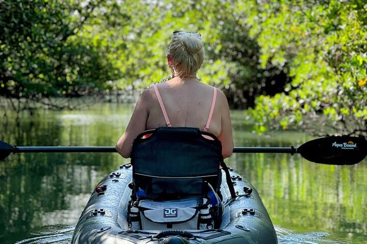Paddle Through Prehistoric Mangrove Tunnels: 2-Hour Queens Island Jungle Kayak photo 4