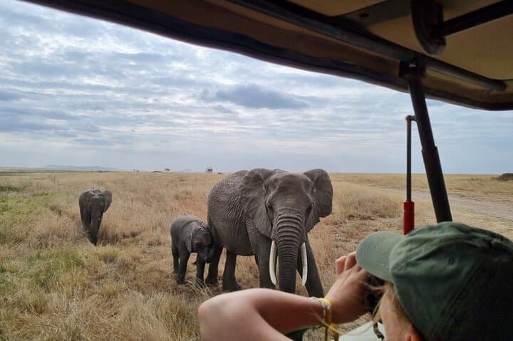 2-Day Safari: Tarangire and Ngorongoro Crater Wildlife Experience photo 1