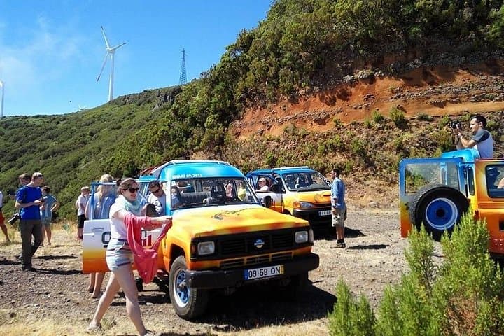 Madeira South Coast Tour — Ponta do Pargo, Paul do Mar & Subtropical Plantations photo 1