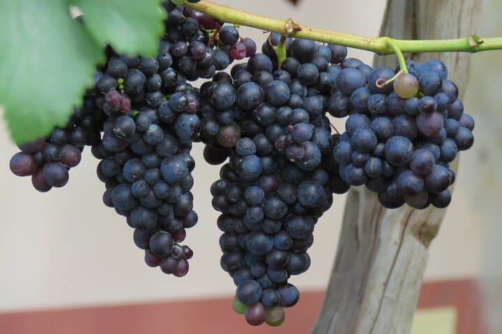 4x4 Adventure and Cabo Girão Skywalk with Wine & Tapas in Madeira photo 6