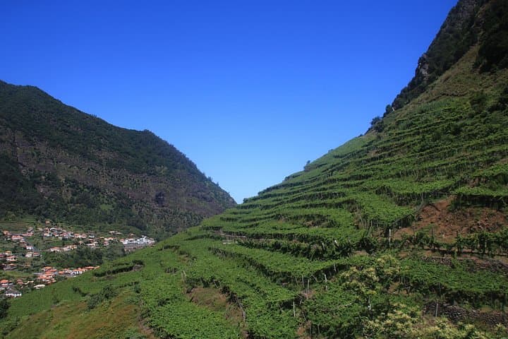 Cabo Girão Skywalk & Serra de Água Jeep Wine Tour — Madeira in Half a Day photo 4