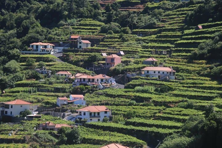 Madeira Wine Tasting and Cabo Girão Jeep Adventure photo 3