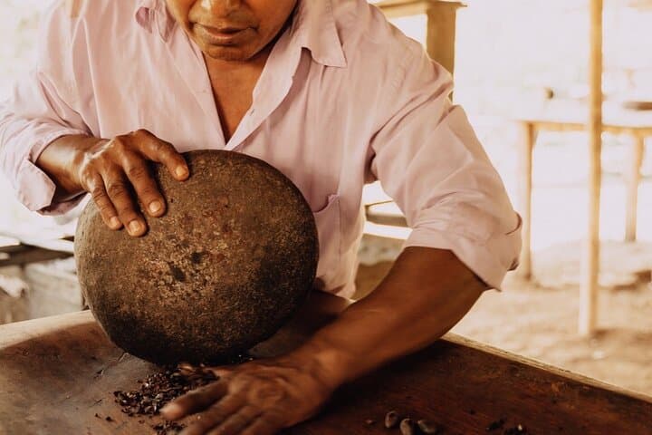 Bribri Chocolate Experience & Waterfall Swim — Talamanca Indigenous Tour