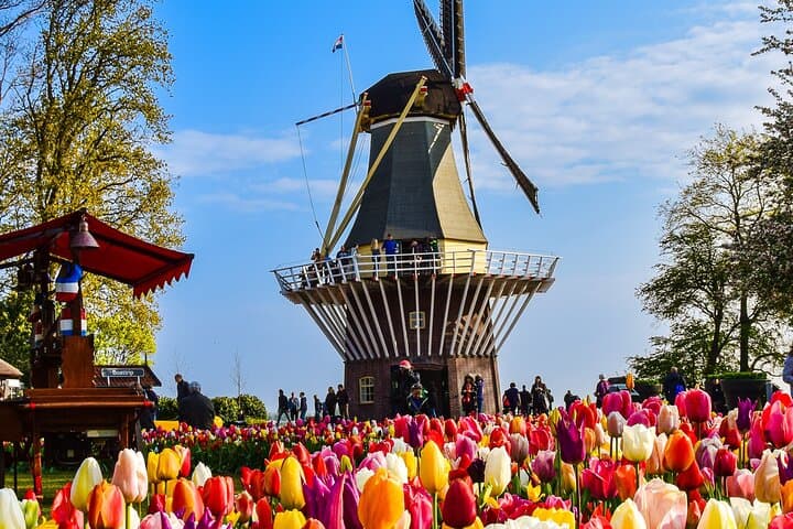 Private Keukenhof Gardens Tulip Experience — Private Tour & Tulip Farm Visit from Amsterdam