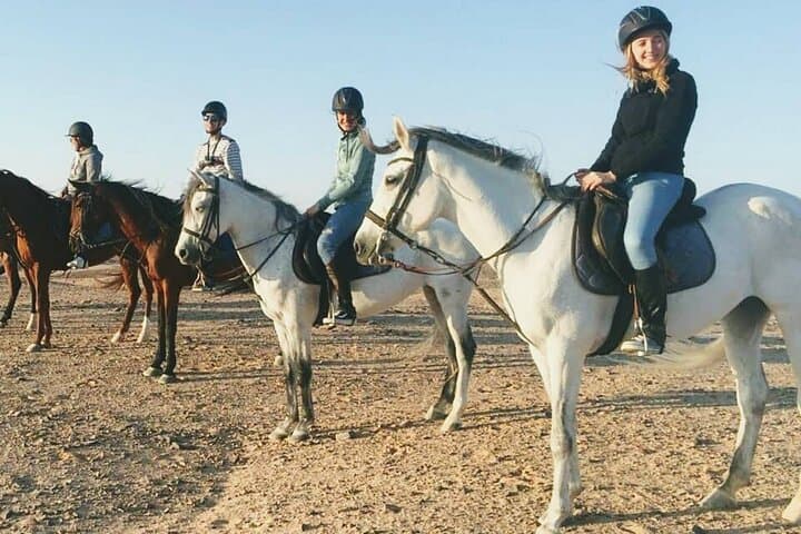 Hurghada Horse Riding: 1-Hour Red Sea Ride with Hotel Transfer photo 3