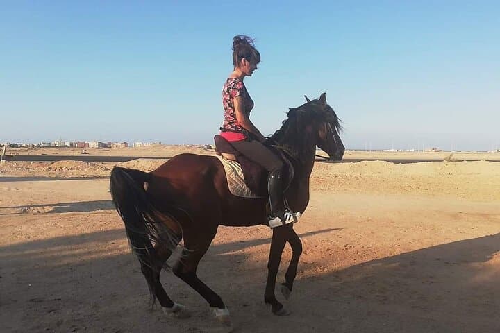 Hurghada Horse Riding: 1-Hour Red Sea Ride with Hotel Transfer photo 6