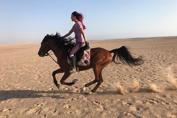 Hurghada Horse Riding: 1-Hour Red Sea Ride with Hotel Transfer photo 2