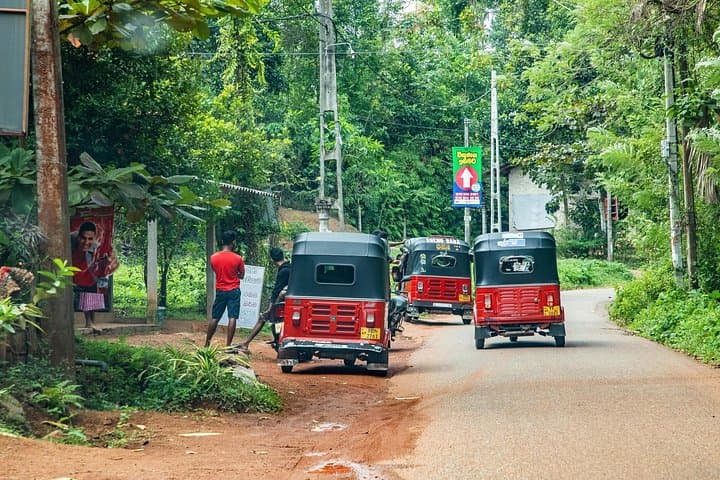 Open-Air Tuk-Tuk Rainforest and Beach Hopping Tour — Antigua photo 2