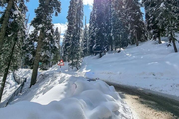Kashmir Winter Escape: Dal Lake Shikara, Gulmarg Skiing & Pahalgam Meadows photo 6