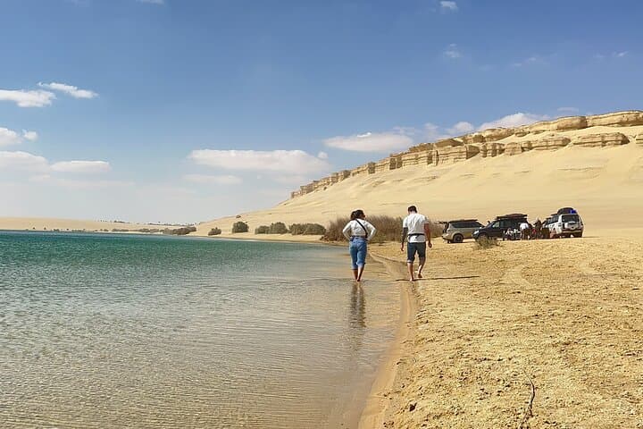 Full-Day Wadi El Rayan 4x4 Desert Adventure from Cairo photo 6