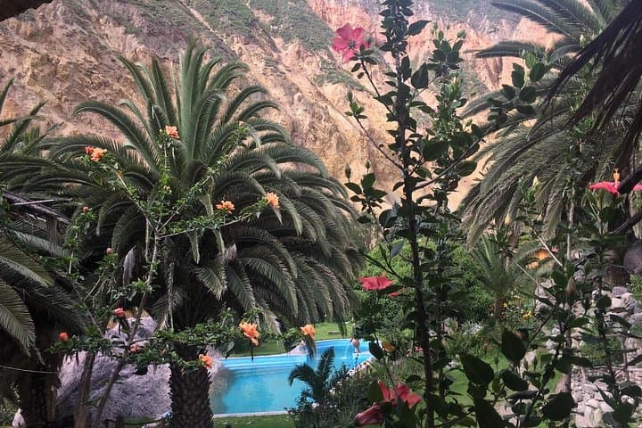 Colca Canyon 2-Day Trek: Sunrise Hike, Sangalle Oasis & Hot Springs photo 4
